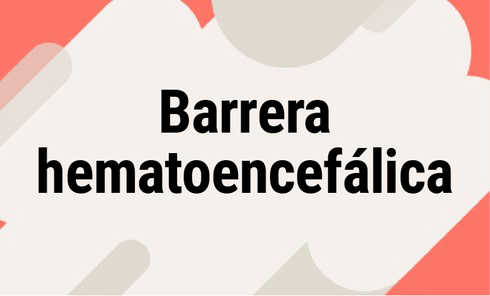 Barrera hematoencefálica