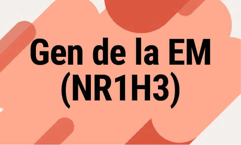Gen de la EM (NR1H3)