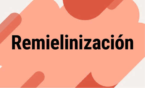 Remielinización