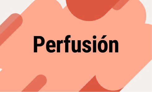Perfusión