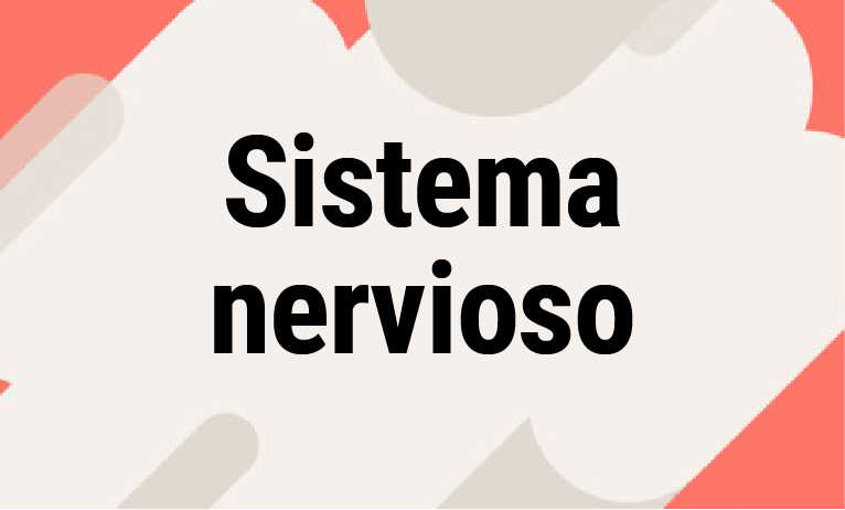 Sistema nervioso