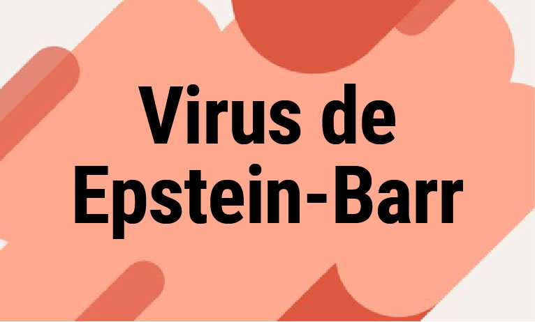Virus de Epstein-Barr