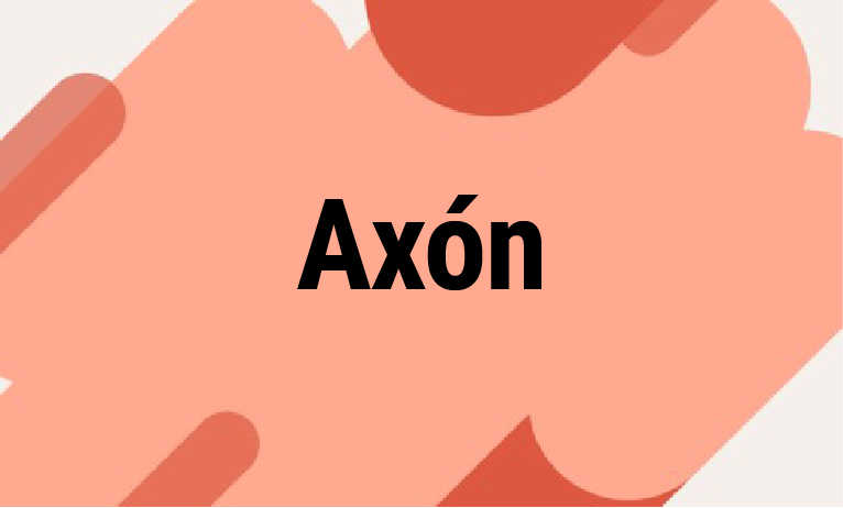 Axón