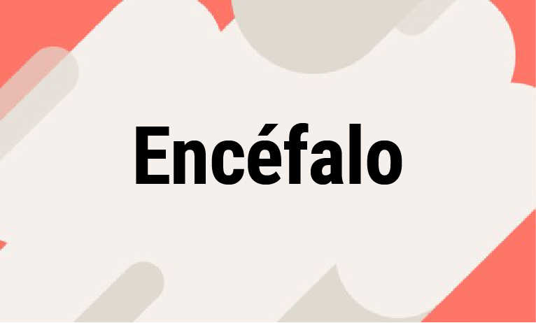 Encéfalo