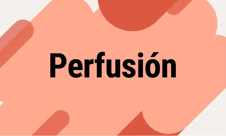 Perfusión